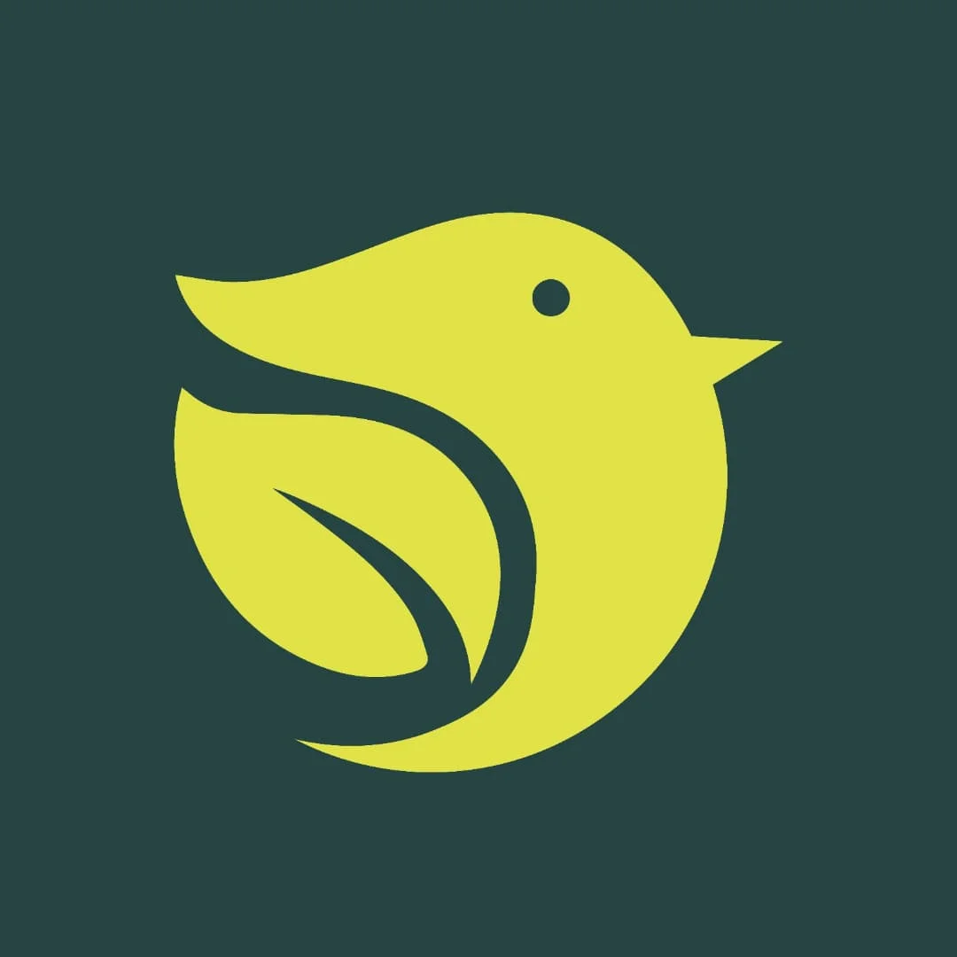 Verdelume botanical beverage identity